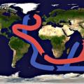 Морские течения в Мировом океане