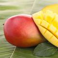 Экзотический фрукт манго: польза и вред для здоровья